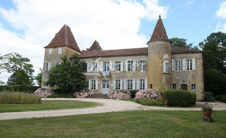 News Archive: Château d’Artagnan for Sale | French-Property.com