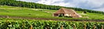 Property for Sale in Burgundy