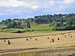 Farms For Sale in France